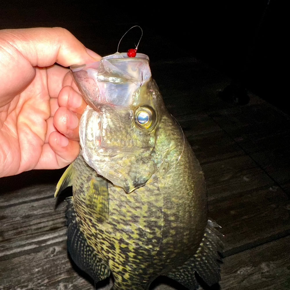 Tungsten Crappie Jig Head