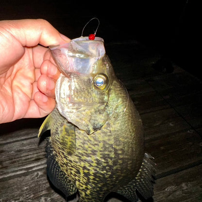 Tungsten Crappie Jig Head