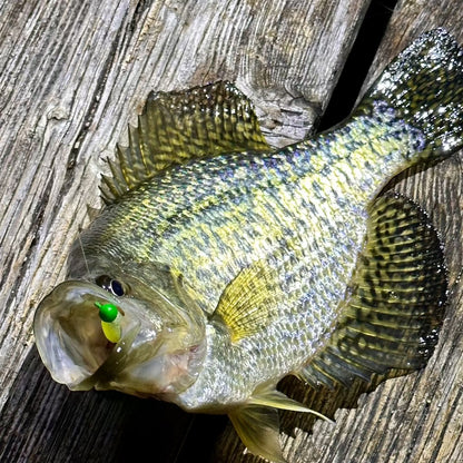 Tungsten Crappie Jig Head